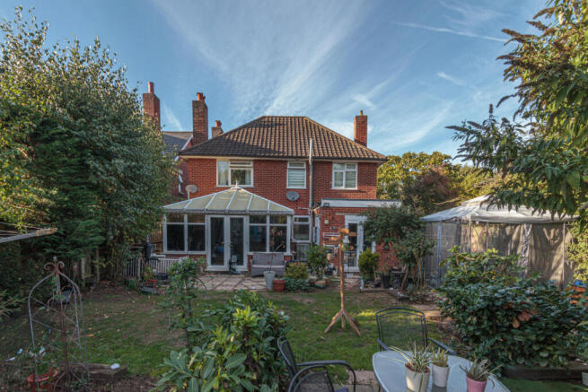 PINE (2 of 14)