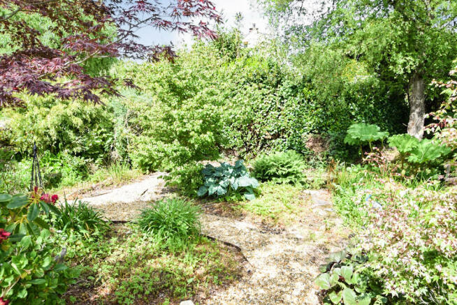 Photo 46