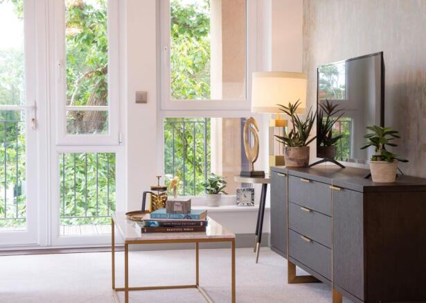 Show home living room