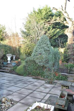 Photo 6