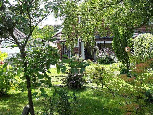 Garden1