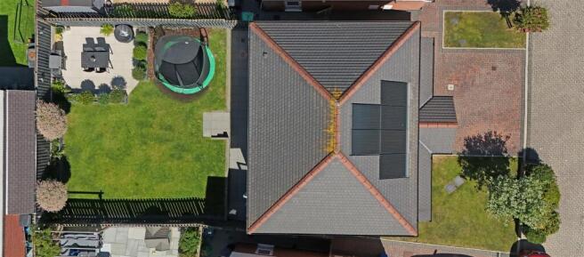 Birds eye.JPG