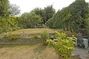 Garden Photo 1