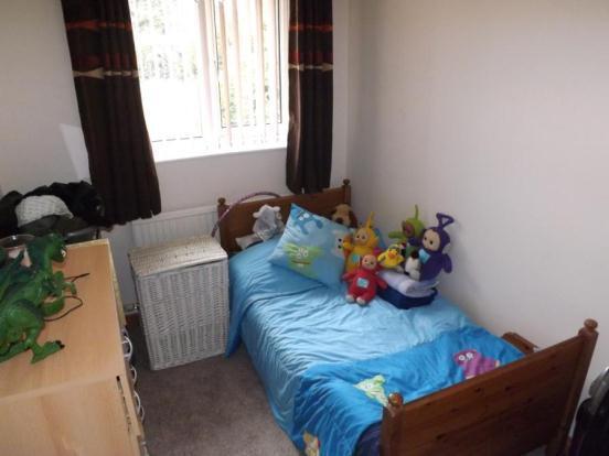 Picture No.17