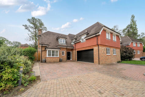 Woodland Copse, Ifold, RH14