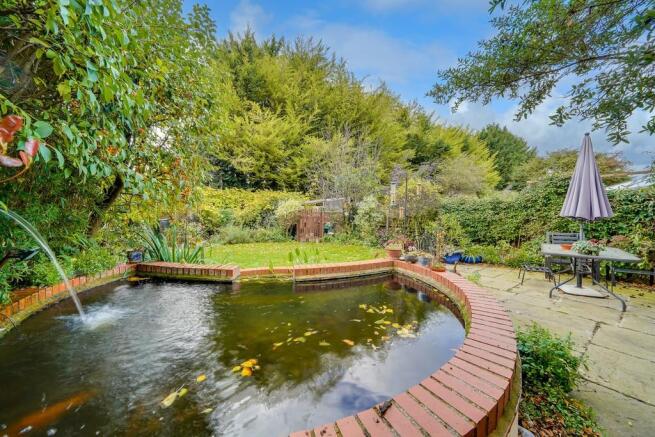 Back Garden