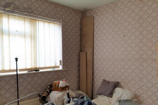IMAGE 5
