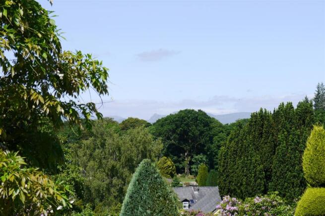 view 1.JPG
