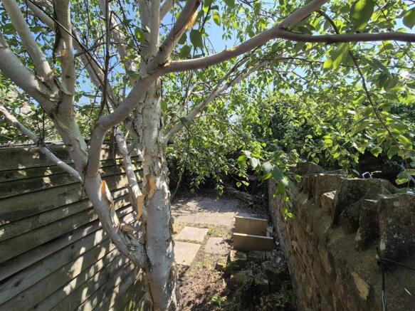 20260527-exterior-3-ZnHmIGAjQdnMc1mN.jpg