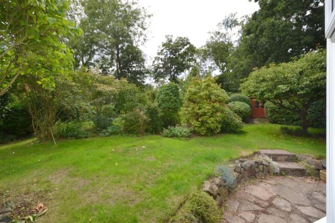 garden2.JPG