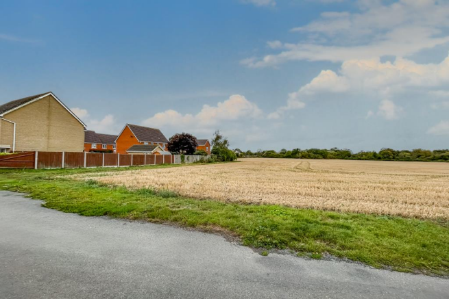 Open Fields