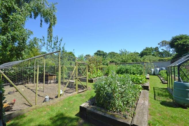 Veggie Patch2