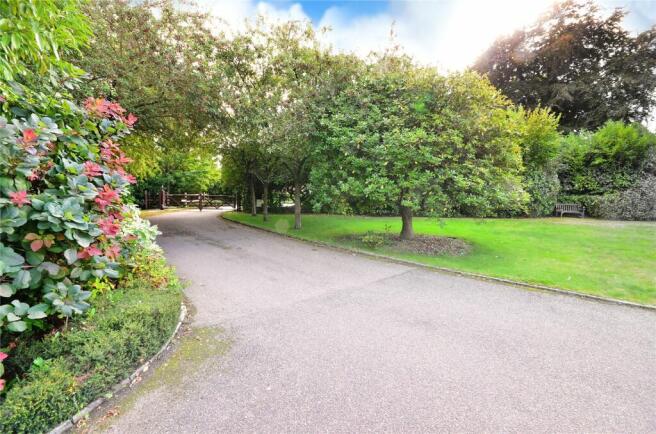 Driveway