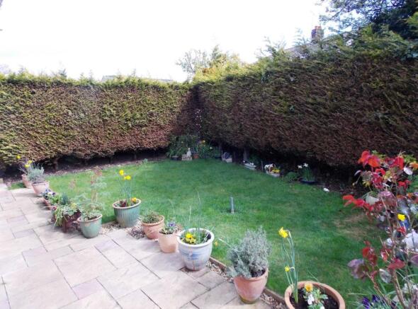 Photo 19