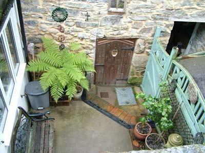 Rear Yard