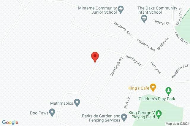 Google Maps Image