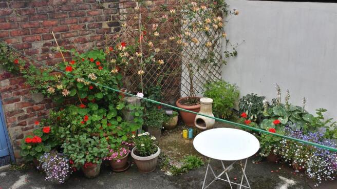 Yard.jpg
