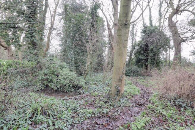 Large Woodland...
