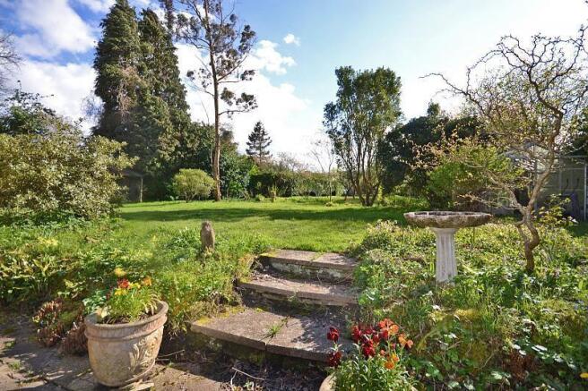Rear garden