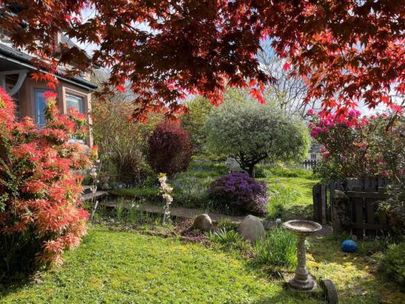 GARDEN CLIENT 1.jpg