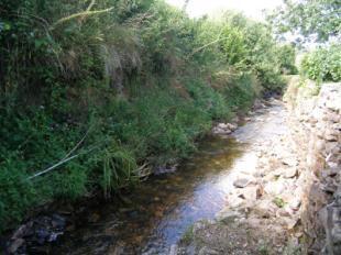 Picture No.14