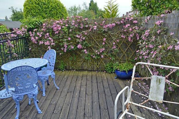 Roof Terrace