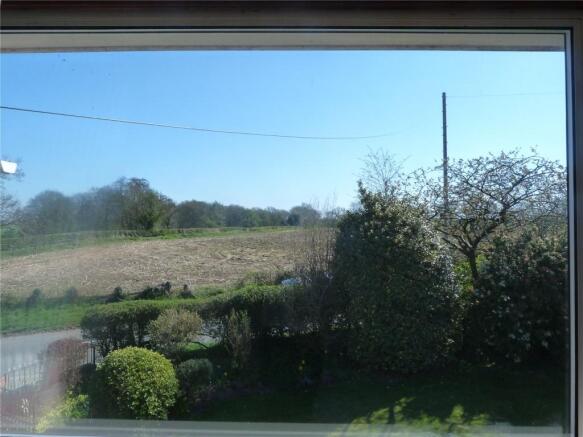 View From Bed 2