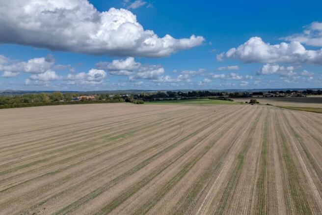 Brook Lane Farm