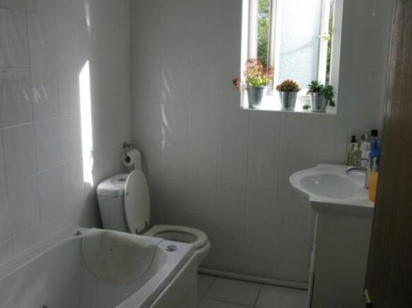 Picture 8