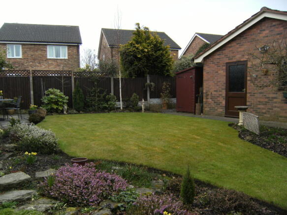 Photo 7