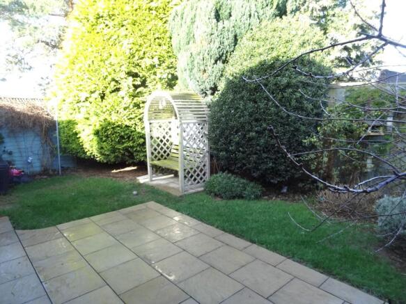 Photo 11
