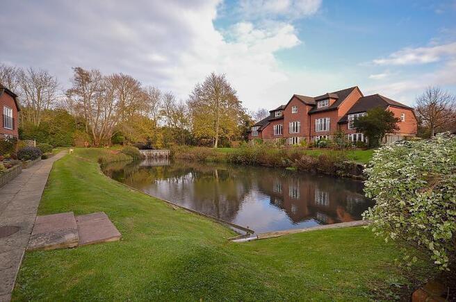 Mill pond (Main)