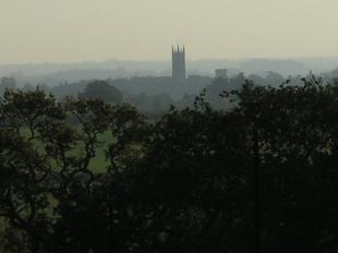 Panoramic Vista