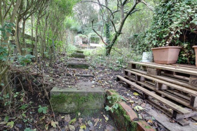 Part of the back garden