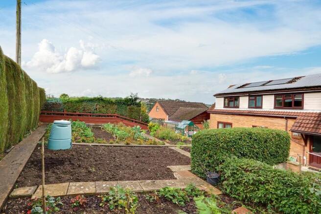 Vegetable Garden