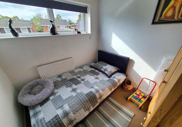Photo 12