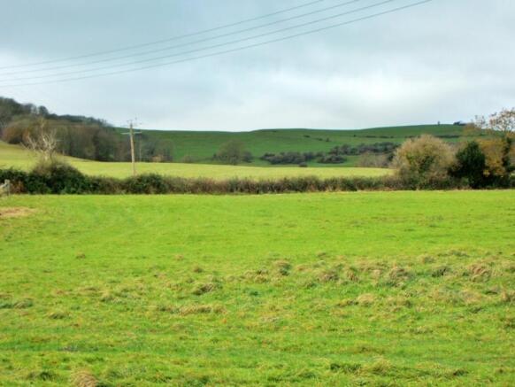 Views from garden