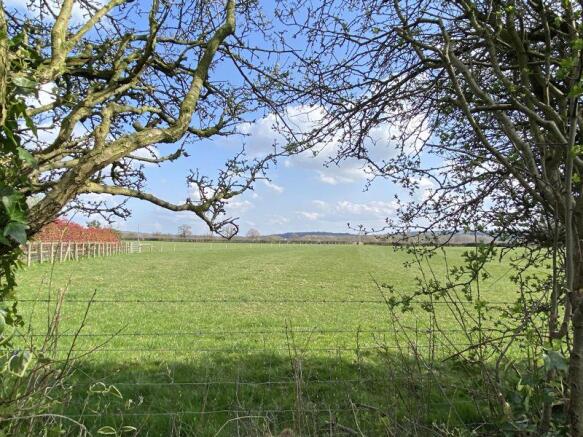 View to Fields