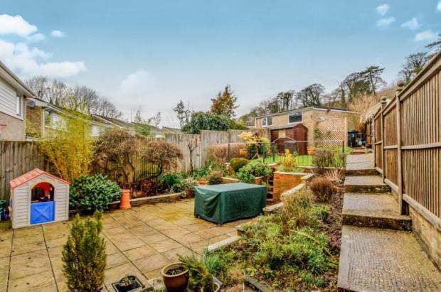 Garden (B)