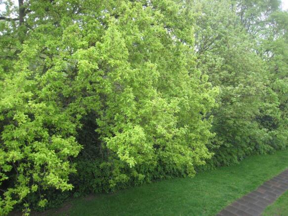 Image 10