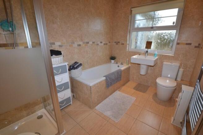 Photo11