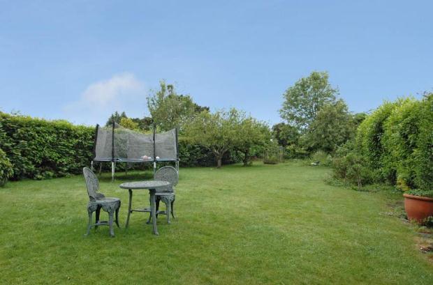 West Facing Garden