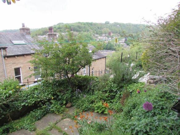 Rear Patio Garden