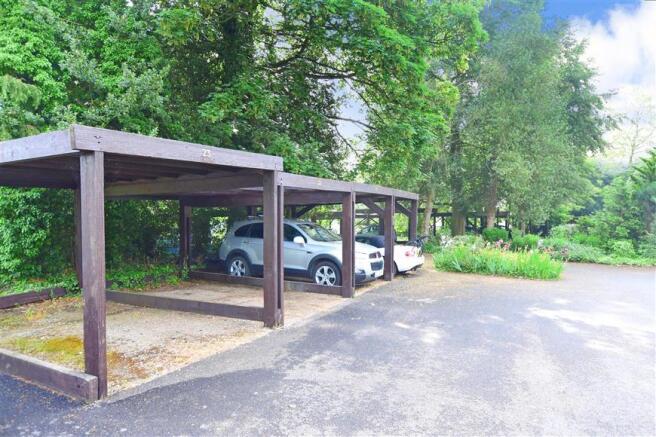 Driveway/Parking