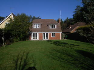 Rear Photo