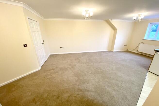 Kitchen/Living Room