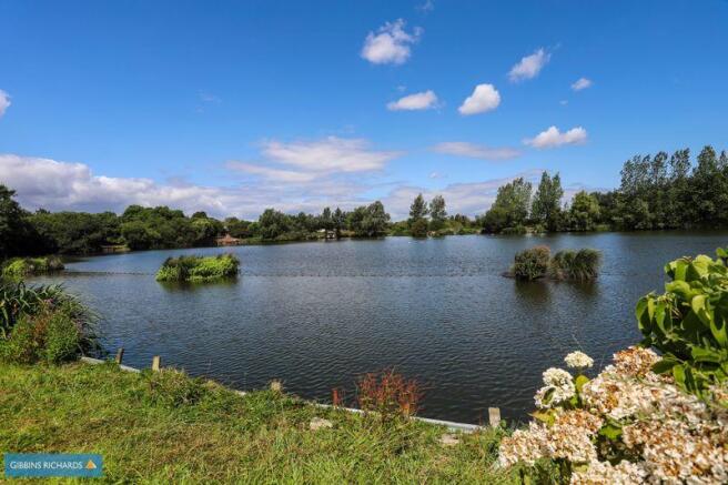 Pond