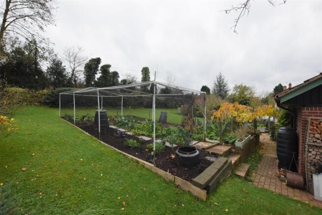 F&V Cage.jpg
