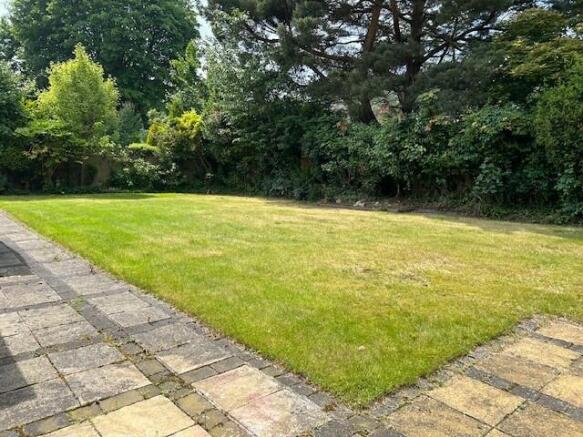 New garden.jpg