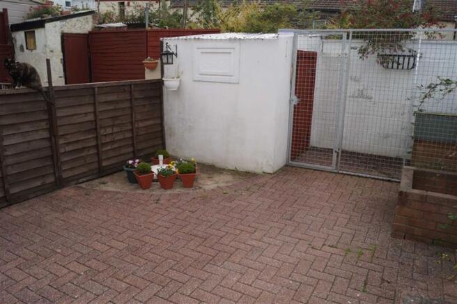 Photo 11